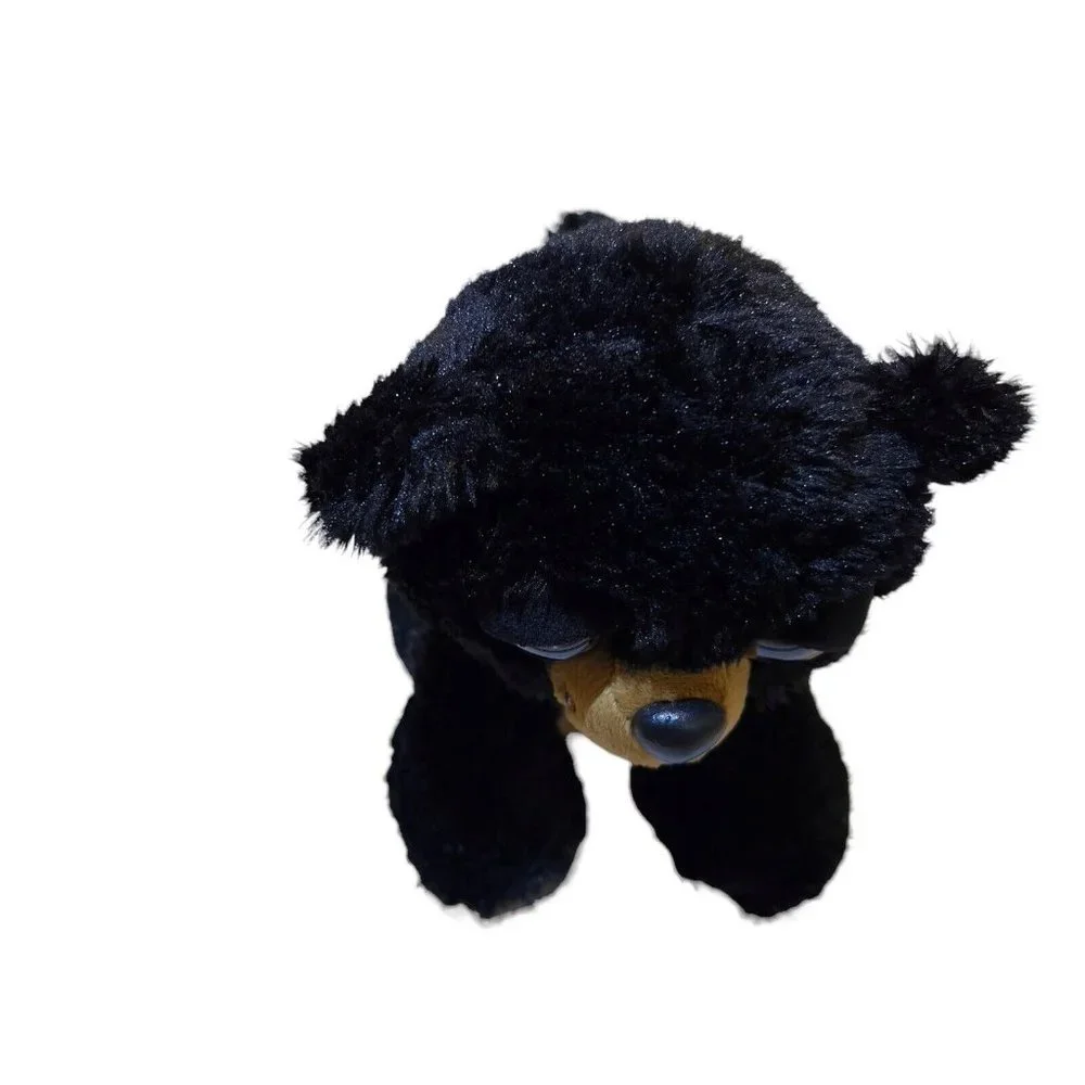 Aurora 2017 black